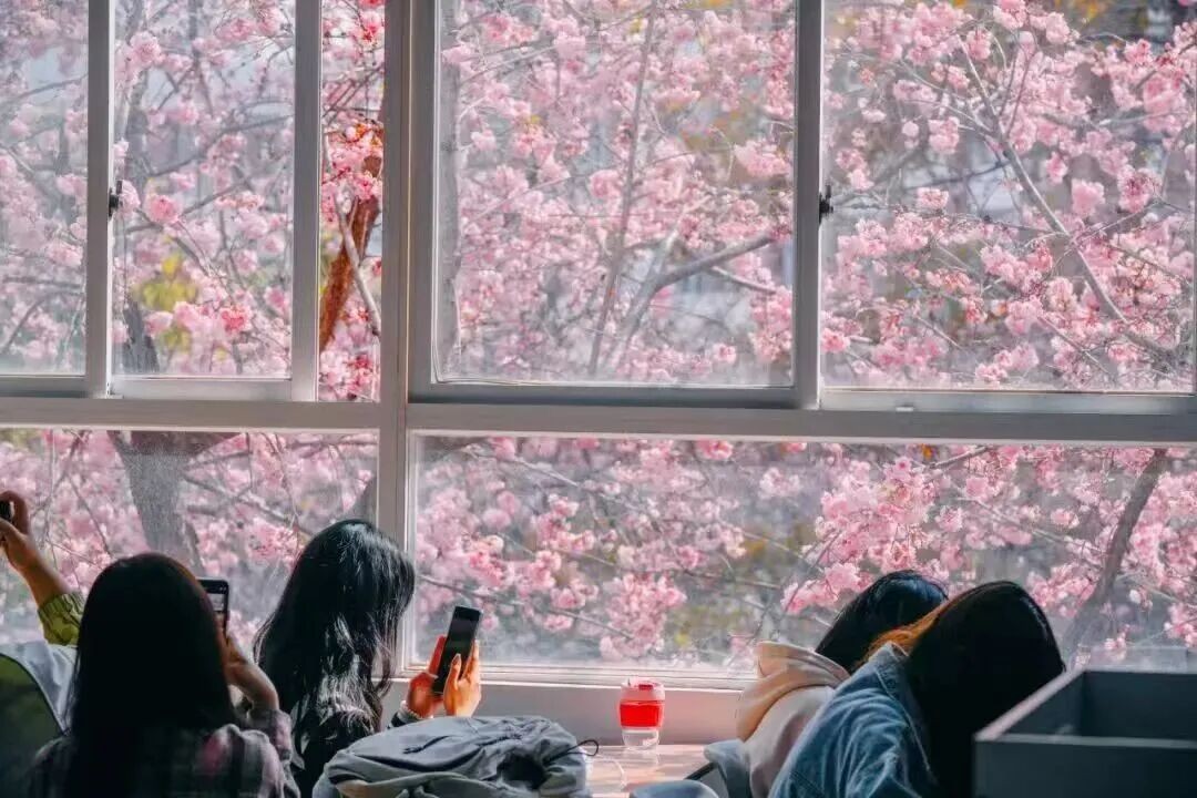 排名揭晓！2026世界杯足球官网全国10强‼️ 第 15 张